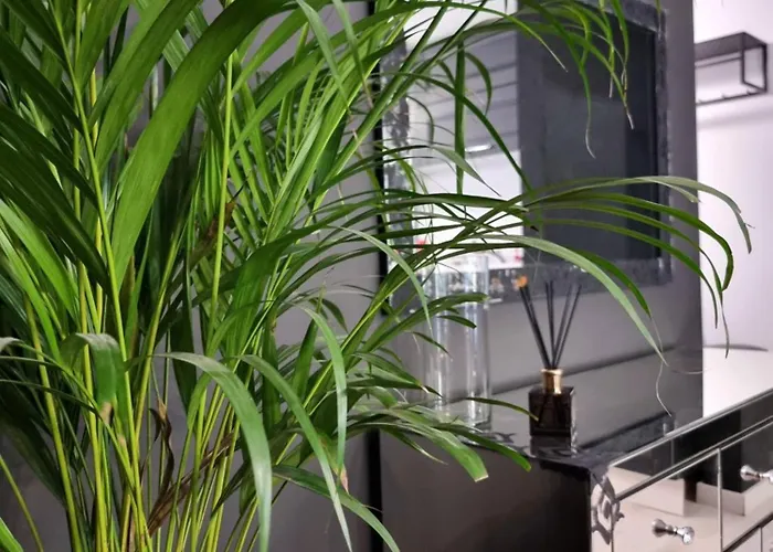 Glamour Boutique Napoca - 2 King Bedrooms - Free Parking *